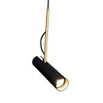 Voxlamp Candid Sarkıt Mafsallı Lamba 25cm 5watt Siyah Gövde, Gold Tij, Siyah Kablo ve Siyah Tavan Bağlantı Rozans