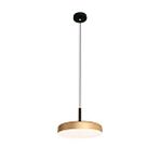 Voxlamp Yatakbaşı Sarkıt Led Avize Salut Ø20cm 9 Watt Gold Gövde, Siyah Tij, Siyah Kablo ve Siyah Rozans