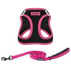 Voyager Step-in Air All Weather File Kablo Demeti ve Yansıtıcı Köpek 1,5 m Neopren Saplı Tasma Kombo Best Pet Supplies tarafından Küçük, Orta ve Büyük Irk Yavru Köpekler için - Siyah/Pembe Kesim, Orta