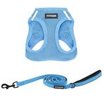 Voyager Step-in Air All Weather File Kablo Demeti ve Yansıtıcı Köpek 1,5 m Neopren Saplı Tasma Kombo Best Pet Supplies tarafından Küçük, Orta ve Büyük Irk Yavrular için - Tasma Koşum Takımı (Bebek