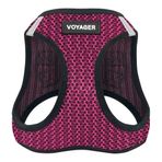 Voyager Step-in Air Köpek Koşum Takımı - Best Pet Supplies Küçük ve Orta Ölçekli Köpekler için Yelek Koşumunda Tüm Hava Mesh Basamağı - Fuşya (2 Tonlu), M