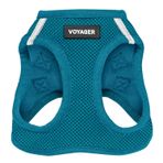 Voyager Step-in Air Köpek Koşum Takımı - Best Pet Supplies Küçük ve Orta Ölçekli Köpekler ve Kediler için Yelek Koşumunda Tüm Hava Mesh Basamağı - Koşum Takımı (Turkuaz), M (Göğüs: 40,6-45,74 cm)