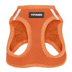 Voyager Step-in Air Köpek Koşum Takımı - Best Pet Supplies Küçük ve Orta Ölçekli Köpekler ve Kediler için Yelek Koşumunda Tüm Hava Mesh Basamağı - Koşum Takımı (Turuncu), XX-Small