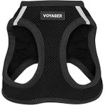 Voyager Step-In Air Koşum Takımı - Küçük Orta Ölçekli Köpekler Için Yeleğe Tüm Hava Mesh Adım Best Pet Supplies Black, L