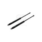 VOYS Baza Amortisörü 750 Newton 36 Cm ( 2 Adet)