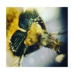 Vuralsin38 Foldscope Cep Mikroskobu Kaşif Seti