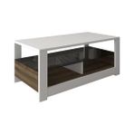 Vuralsin38 Füme Cam Raflı Orta Sehpa - Modern Tasarım Sehpa, Beyaz/antik Ceviz - Option-1