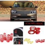Vw Passat B72012-2016 Coil-Ex 4.5 cm Helezon Spor Yay