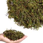 Vxcbad 2 Adet Yapay Yosun - Oda Bitkileri Dekorasyonu için Yeşil Yosun - El Sanatları için Sahte Yosun