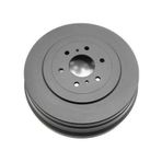 Wagenburg 35155009 Arka Fren Kampanası Nissan Navara 2.5 Dcı D40 Kasa 2005- 295x6 43206eb360