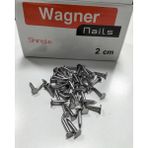 Wagner Şıngıl Çivisi Shingle Çivi Çatı Membran Çivi 2 cm (250 Gr)