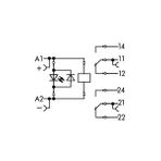 Wago 788-312 Dc 24V 2x8A Soketli Durum Göstergeli Röle Modülü