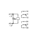 Wago 788-516 Ac 230V 2x8A Soketli Durum Göstergeli Röle Modülü