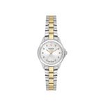 Wainer Wa.18010-h Silver Gold Metal Kadın Kol Saati - Altın