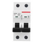 Walfront Minyatür Elektrik Şalteri GYM9-C65 DIN Ray Montajlı 230 / 400V 50 / 60Hz IP20 Hava Kaçak Koruyucu Şalter Bipolar Akım Şalter (40A)