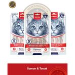 Wanpy Digestive Health Somon Balığı-Tavuk Kedi Krema Ödülü 5X14GR 3lü Set