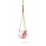 Warm Design Şeffaf Jüt İpli Cam Asma Saksı Boho Salon Ofis Balkon Dekoru Şeffaf