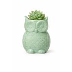 Warm Design Yeşil Mıknatıslı Mini Baykuş Saksı Salon Konsol Raf Ofis Dekoru Yeşil 7 x 10