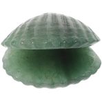 Warmhm Kristal Taş Kabuk Denizcilik Temalı Dekorasyon Balık Tankı Deniz Kabukları Deniz Kabuğu Dekoru El Sanatları Için Deniz Kabukları Balık Tankı Kabuğu Yüzük Heykel Daha Iyi Balık