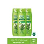 Wash & Go Bitki Özlü 3x360 ml Şampuan