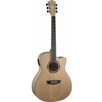 Washburn AG40CE Apprentice Serisi Elektro Akustik Gitar