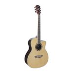Washburn AG70CE Apprentice Elektro Akustik Gitar