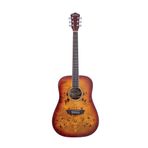 Washburn Deep Forest Burl Amber Fade Akustik Gitar