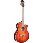 Washburn EA55G Festival Elektro Akustik Gitar