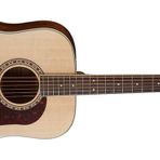 Washburn HD10S Akustik Gitar