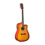 Washburn WA-90 CTS Elektro Akustik Gitar
