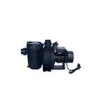 Water Fun Senkron 2 Seri 1.50 HP Trifaze Pool Pump Havuz Pompası