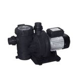 WaterFun Senkron-1 1 Hp 220 V Havuz Pompası