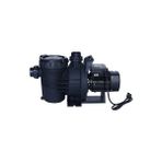 WaterFun Senkron-2 3 Hp 220 V Havuz Pompası