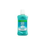 Watsons Cool Mint Mouthwash 500 ml Ağız Bakım Suyu