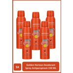 Watsons Golden Horizon Deodorant Sprey Pudralı 5x150ml