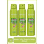 Watsons Verdant Deodorant Sprey Pudrasız 3x150ml