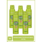 Watsons Verdant Deodorant Sprey Pudrasız 5x150ml