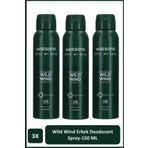Watsons Wild Wind Deodorant Sprey Erkek Pudrasız 3x150ml