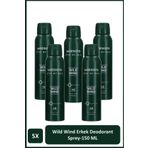 Watsons Wild Wind Deodorant Sprey Erkek Pudrasız 5x150ml