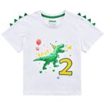 WAWSAM bKids 2. Doğum Günü Tişört Erkek Çocuk İki Yıllık Dinozor Kısa Kollu Doğum Günü Partisi Tişört Hediye Pamuk Suluboya Baskılı Nakış Kısa Kollu Kıyafetler
