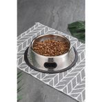 Weather Forecast Paslanmaz Çelik 250 ml Gri Kaymaz Taban Kedi Köpek Mama ve Su Kabı CIN569