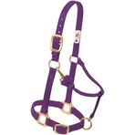 Weaver Leather Ayarlanabilir Naylon At Yulari, Yearling Beden, Mor