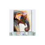 WebStyle Sayılarla Boyama Seti Kasnaklı Hint Fili 50 x 65 cm