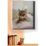 WebStyle Sayılarla Boyama Seti Kasnaklı Minik Kedi 1 50 x 65 cm
