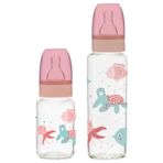 Wee Baby 250-125 ml Klasik Cam Biberon Seti