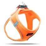 weeharol Tailpetz Air-Mesh Harness Köpek Göğüs Tasması Large Turuncu