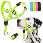 Weesiber Yumuşak Köpek Baş Tasması - Ayarlanabilir Köpek Baş Koşumu, Pedli, Çekmez Baş Halter Yaka Eğitim ve Yürüyüş için Yansıtıcı Güvenlik Şeritli (Yeşil, M)