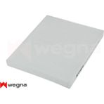 Wegna Depomix Polen Filtresi Fiesta 08 17 B-Max 14 Courier 14 Ecosport 14 Ka 16 Cu 2436 - Çok Renkli