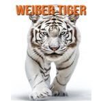 Weißer Tiger: Lustige und faszinierende Fakten und Bilder über Weißer Tiger