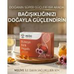 WeLive Ekinezya Bal & Propolis Limon Aromalı Bitkisel Pastil – Boğaz Rahatlatıcı Drops 24 Adet